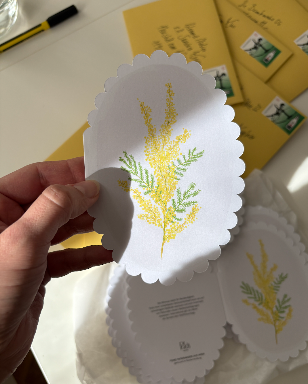 Mimose, gestanzt