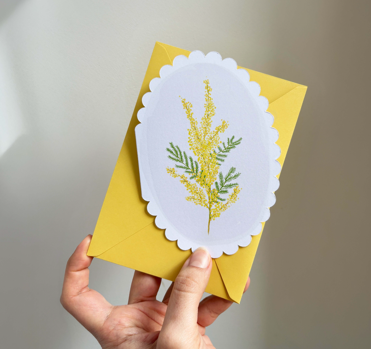 Mimose, gestanzt