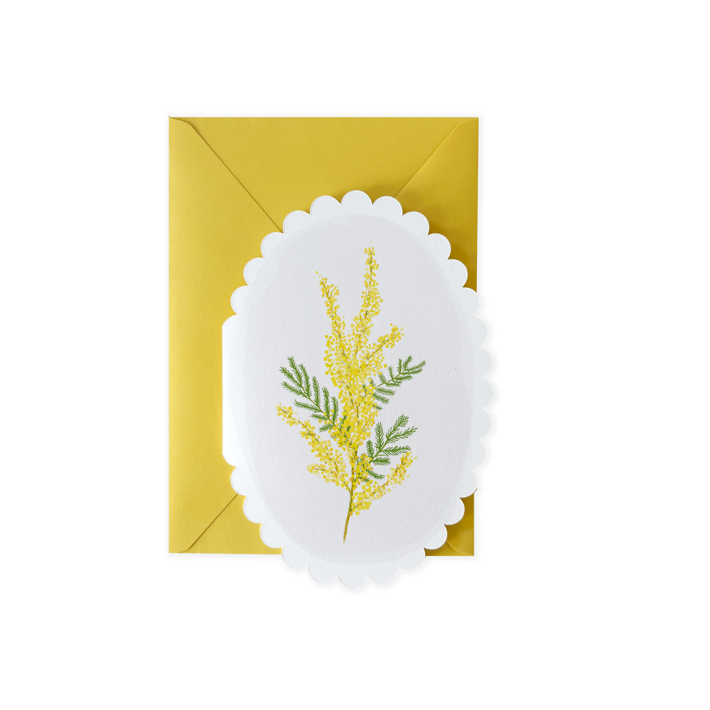 Mimose, gestanzt