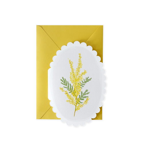 Mimose, gestanzt